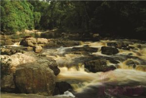 Lata Berkoh National Park
