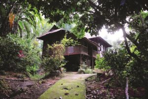 Malay Traditional House