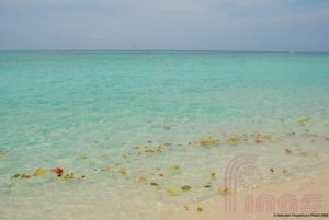 Sipadan Island