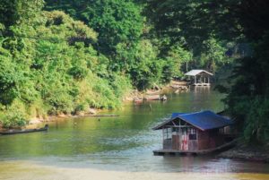Taman Negara