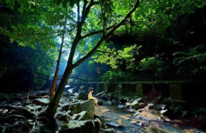 Bukit Wang